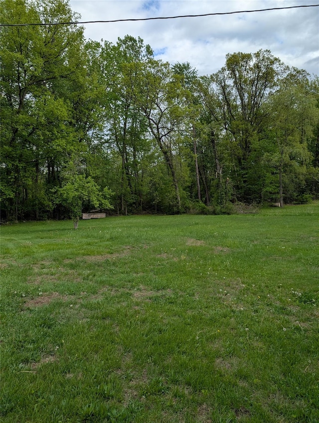 view of grassy yard with a wooded view
