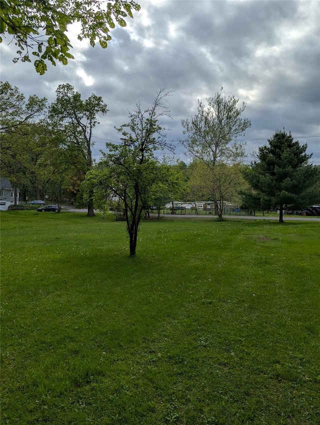 view of grassy yard