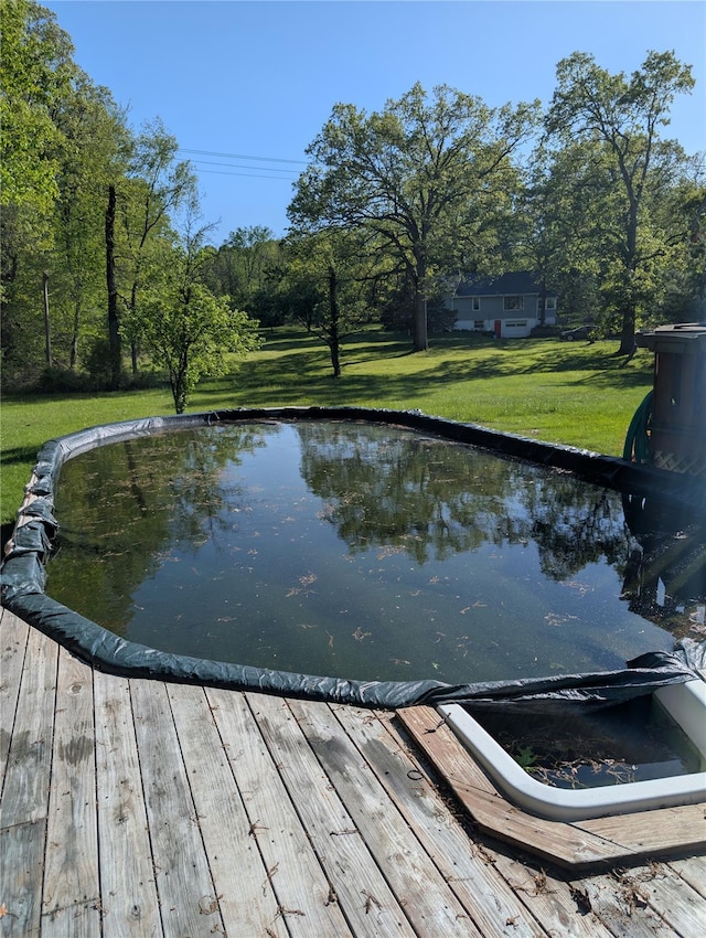 dock area with a lawn
