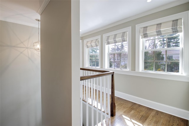 52 Northwoods Rd, Manhasset, NY 11030 - corridor featuring plenty of natural light, crown molding, baseboards, wood finished floors, and an upstairs landing