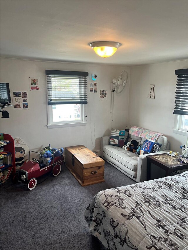 bedroom with carpet flooring