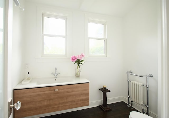 80 Clifton Ave, Kingston, NY 12401 - bathroom with radiator, wood finished floors, and vanity