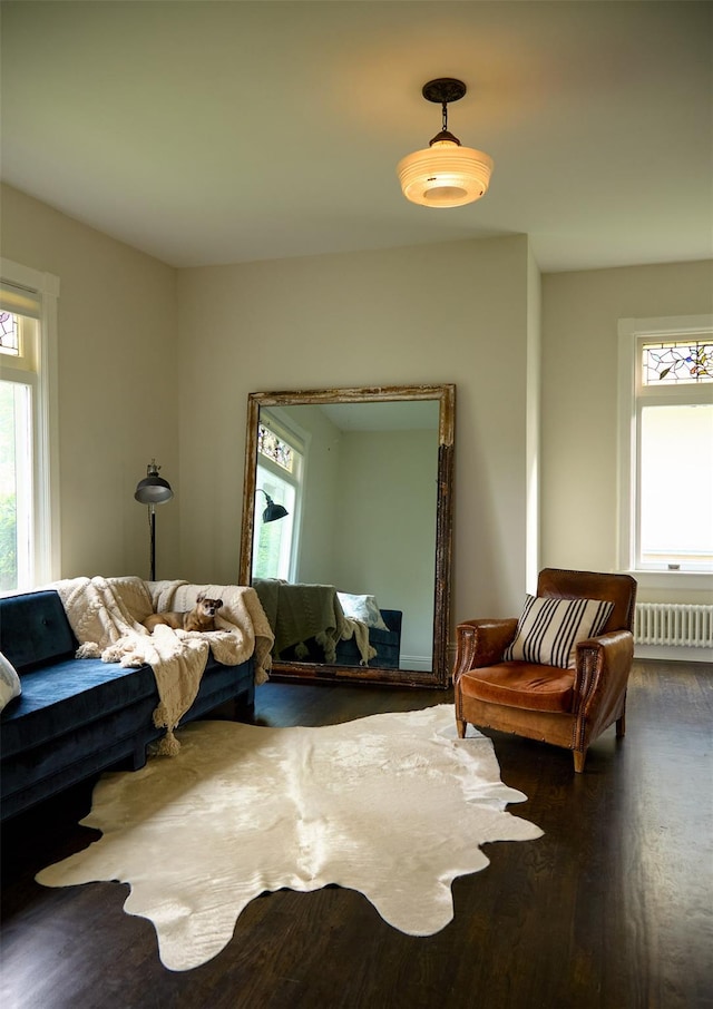 80 Clifton Ave, Kingston, NY 12401 - living room featuring radiator heating unit, plenty of natural light, and wood finished floors