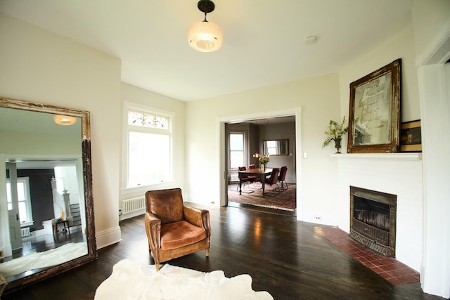 80 Clifton Ave, Kingston, NY 12401 - living area with radiator, a fireplace with flush hearth, and wood finished floors