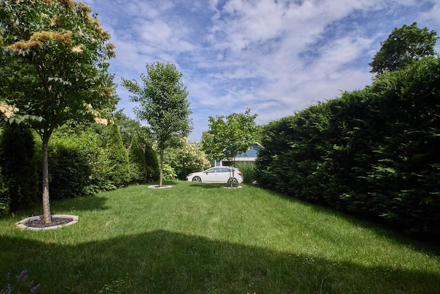 80 Clifton Ave, Kingston, NY 12401 - view of green lawn