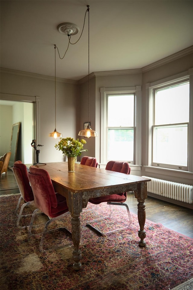 80 Clifton Ave, Kingston, NY 12401 - dining room with radiator, wood finished floors, and crown molding