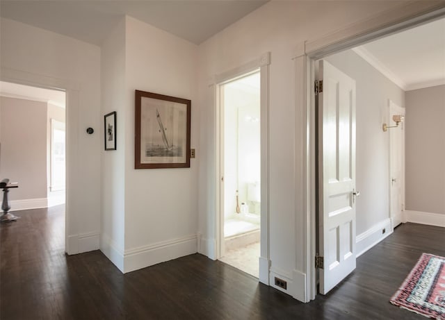 80 Clifton Ave, Kingston, NY 12401 - hallway featuring dark wood-type flooring and ornamental molding