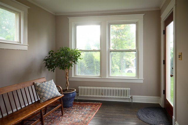 80 Clifton Ave, Kingston, NY 12401 - living area with radiator heating unit, wood finished floors, and crown molding