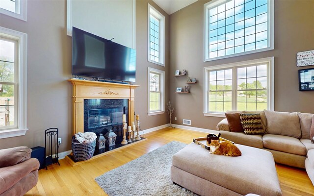 54 Fox Hill Run, Rock Tavern, NY 12575 - living area featuring a high ceiling, healthy amount of natural light, a premium fireplace, and wood finished floors