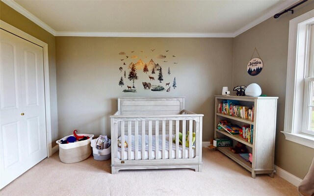 54 Fox Hill Run, Rock Tavern, NY 12575 - bedroom featuring crown molding, a crib, carpet, baseboards, and a closet