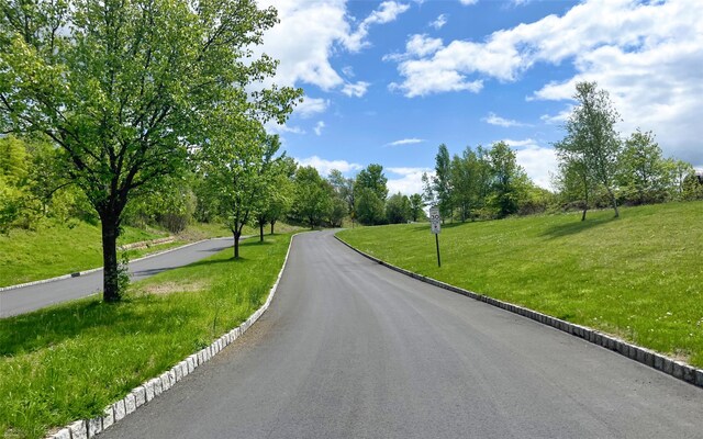 54 Fox Hill Run, Rock Tavern, NY 12575 - view of asphalt road featuring curbs and view of wooded area