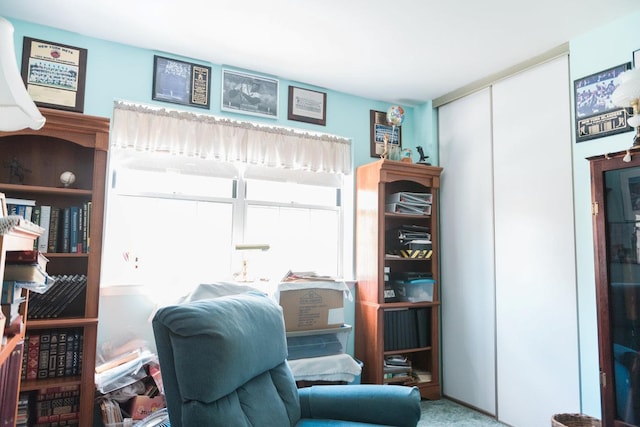 3 Cloister Ln, Middle Island, NY 11953 - view of living area