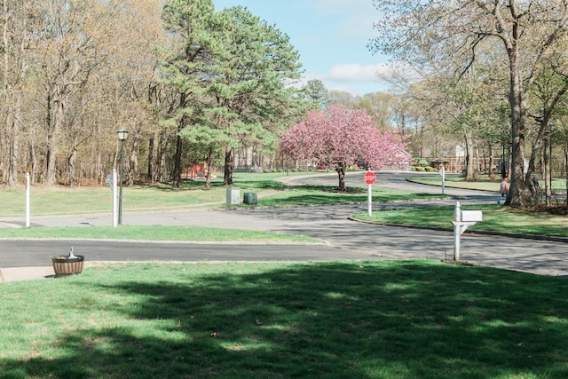 3 Cloister Ln, Middle Island, NY 11953 - view of property's community with a yard