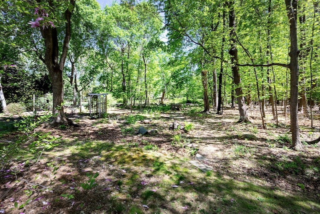 view of nature