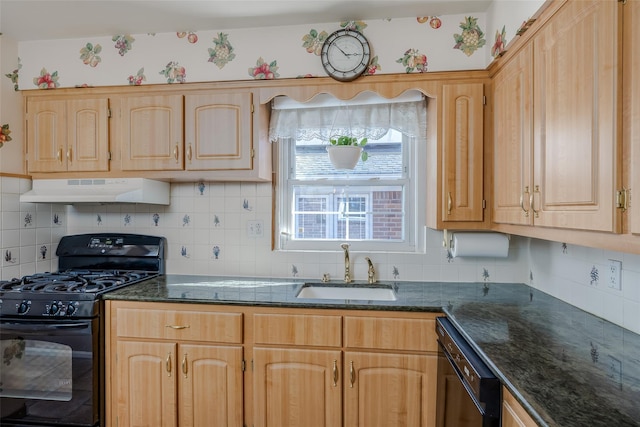 kitchen with black appliances, tasteful backsplash, under cabinet range hood, and a sink