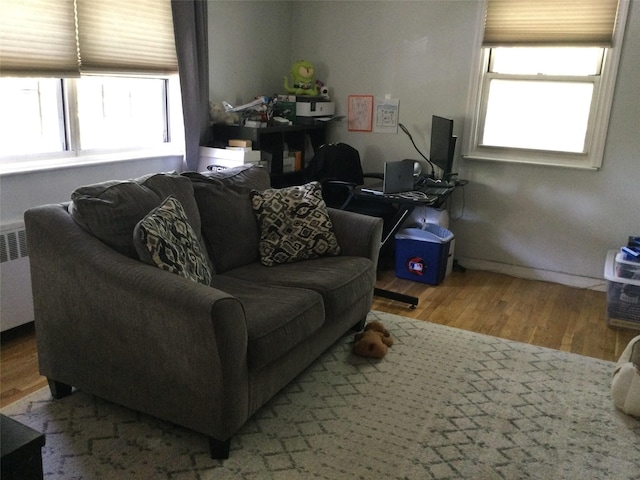 268-03 83rd Ave Fl 2Nd, Floral Park, NY 11040 - living area with a healthy amount of sunlight and wood finished floors