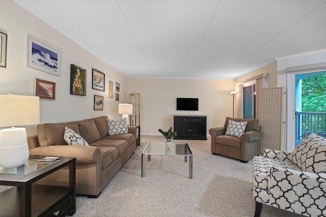 100 High Point Dr Unit 504, Hartsdale, NY 10530 - living room featuring carpet and crown molding
