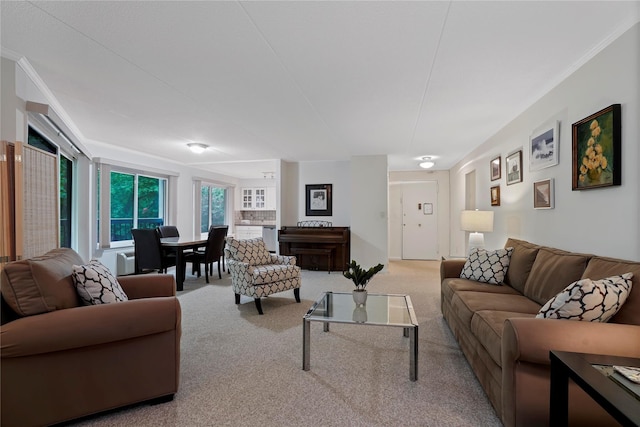 100 High Point Dr Unit 504, Hartsdale, NY 10530 - carpeted living area featuring crown molding