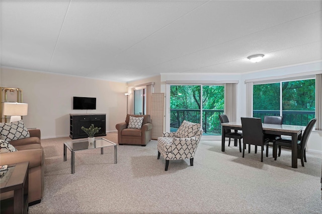 100 High Point Dr Unit 504, Hartsdale, NY 10530 - living room featuring carpet floors and baseboards