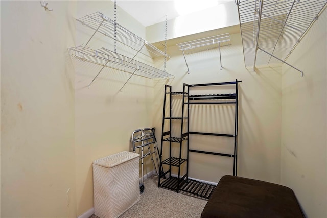100 High Point Dr Unit 504, Hartsdale, NY 10530 - spacious closet with carpet floors