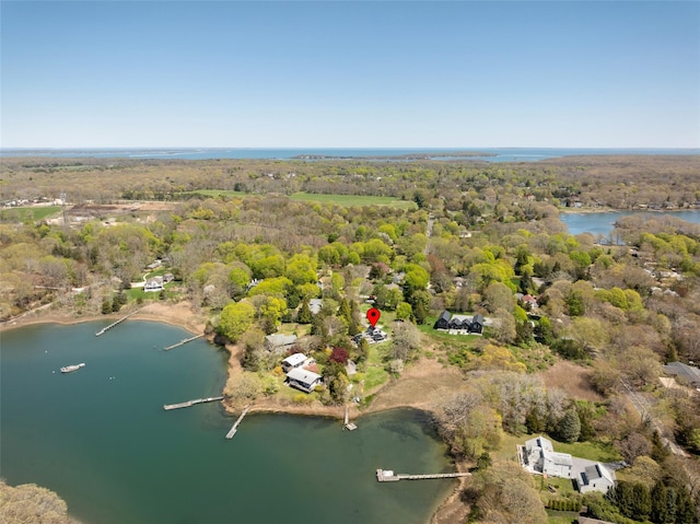 drone / aerial view with a water view and a view of trees