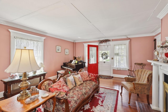 living area featuring ornamental molding, a fireplace, wood finished floors, and a wealth of natural light