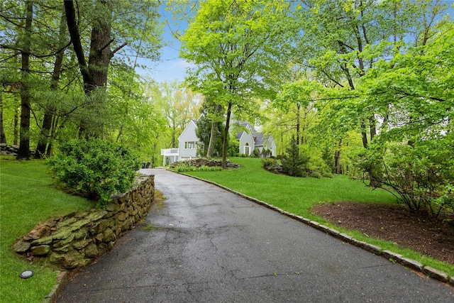 view of community with a yard