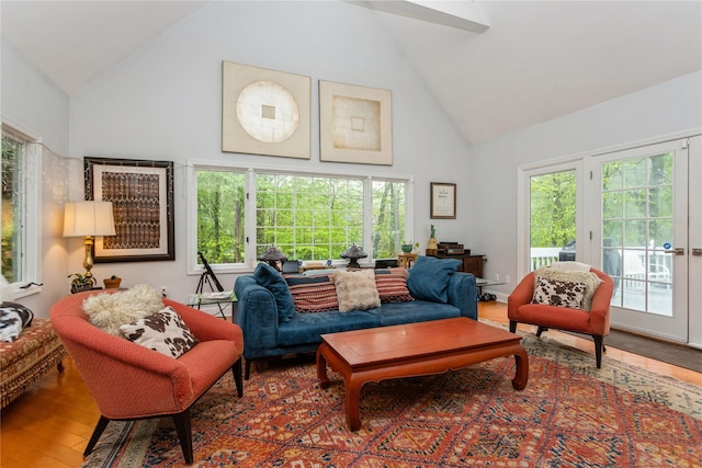 living area with high vaulted ceiling, wood finished floors, and healthy amount of natural light