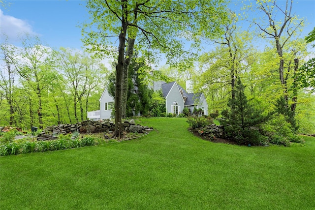 view of green lawn