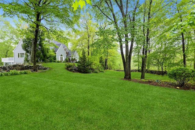 view of green lawn