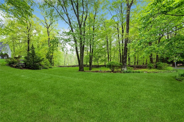 view of green lawn