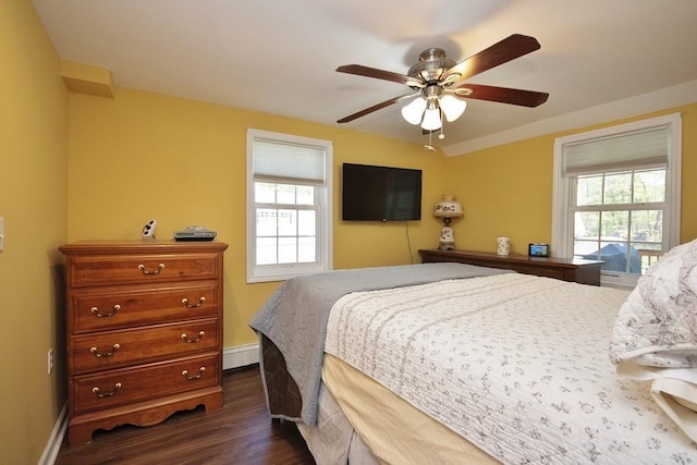 bedroom featuring baseboards, multiple windows, a baseboard heating unit, and dark wood finished floors