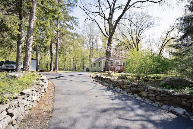 view of street with driveway