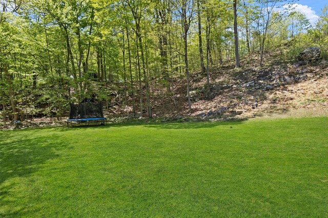 view of yard with a trampoline