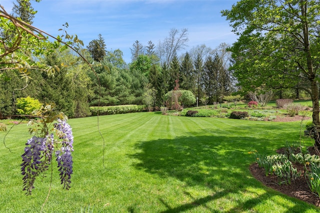 52 Bedford Center Rd, Bedford Hills, NY 10507 - photo 32
