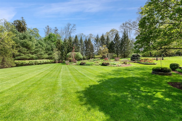 52 Bedford Center Rd, Bedford Hills, NY 10507 - photo 33