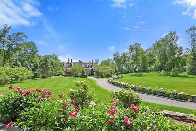 52 Bedford Center Rd, Bedford Hills, NY 10507 - photo 35