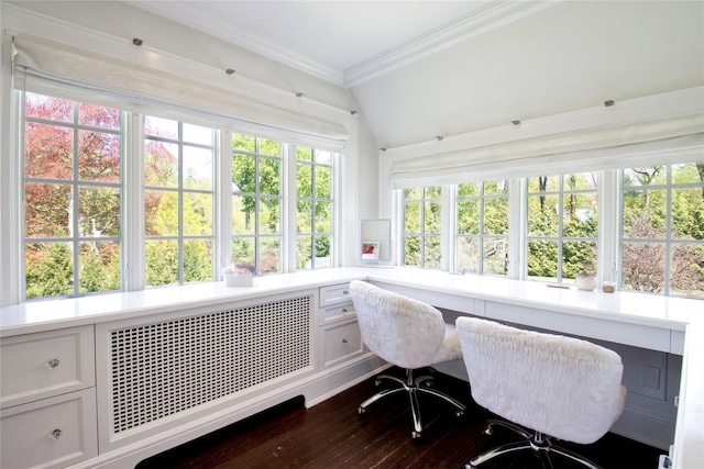 home office with radiator heating unit, dark wood-style flooring, and crown molding