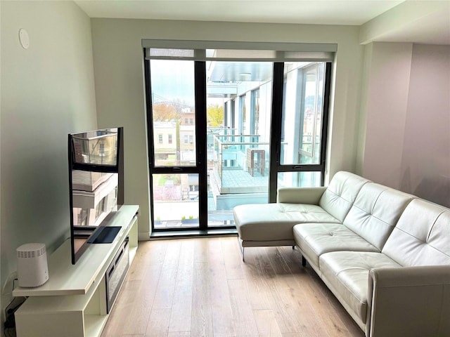14-33 31st Ave Unit 4H, Astoria, NY 11106 - living room with light wood finished floors