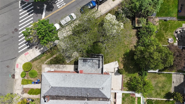 bird's eye view