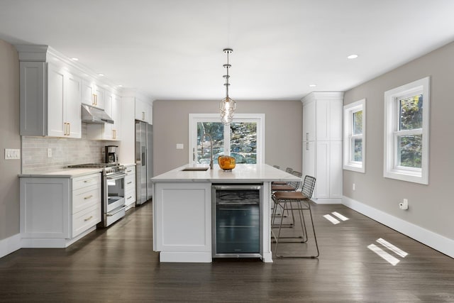 kitchen featuring backsplash, appliances with stainless steel finishes, a sink, wine cooler, and under cabinet range hood