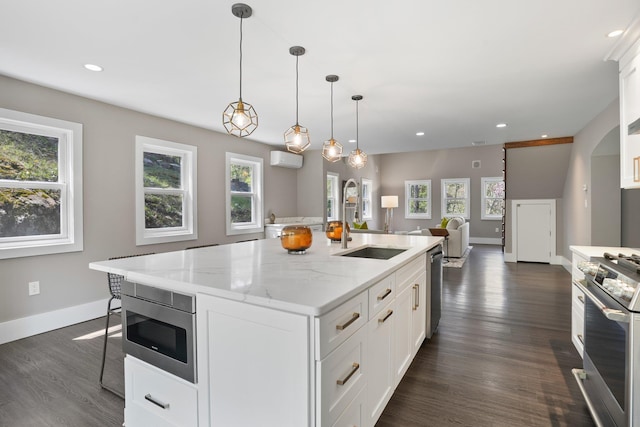 kitchen with baseboards, appliances with stainless steel finishes, a wealth of natural light, and dark wood finished floors