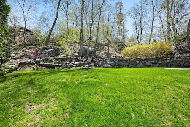 view of yard