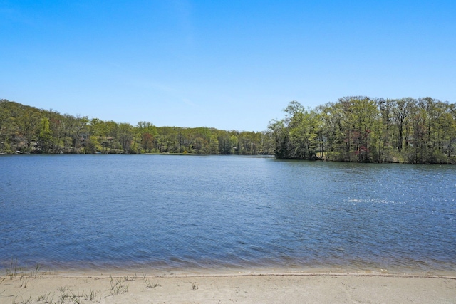 property view of water with a forest view