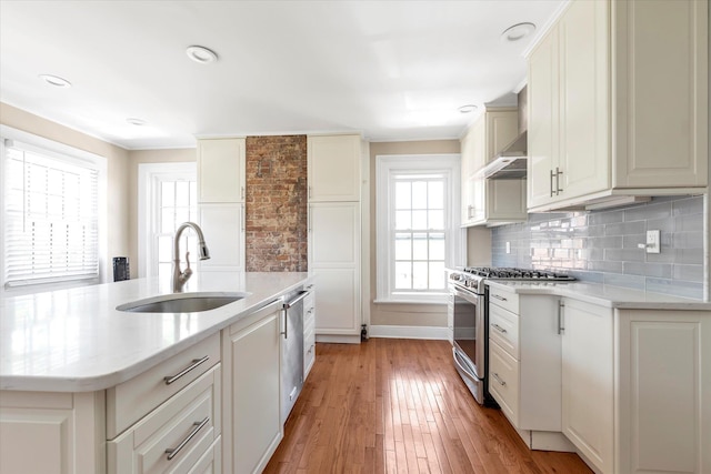 kitchen with decorative backsplash, light wood-type flooring, under cabinet range hood, a sink, and stainless steel appliances
