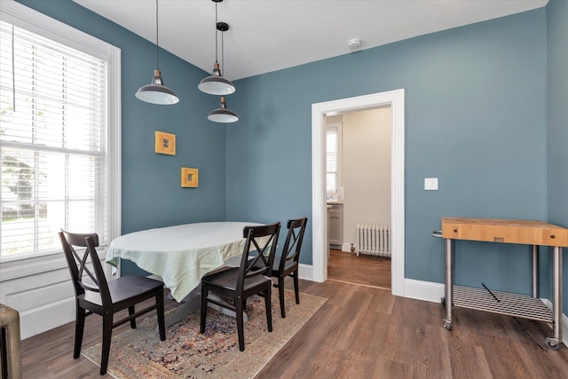 dining area with a healthy amount of sunlight, radiator, baseboards, and wood finished floors
