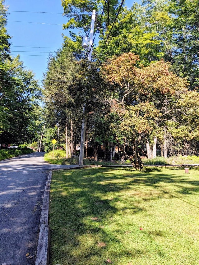 25 E Reindeer Trl, Bethel, NY 12778 - view of front facade with a front lawn