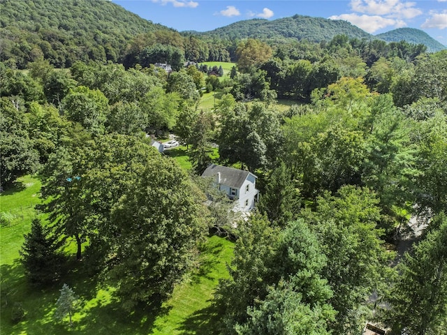 16 Nelson Ln, Garrison, NY 10524 - drone / aerial view with a view of trees and a mountain view