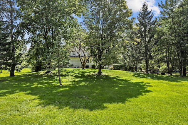 16 Nelson Ln, Garrison, NY 10524 - view of yard