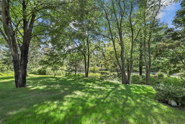 16 Nelson Ln, Garrison, NY 10524 - view of yard